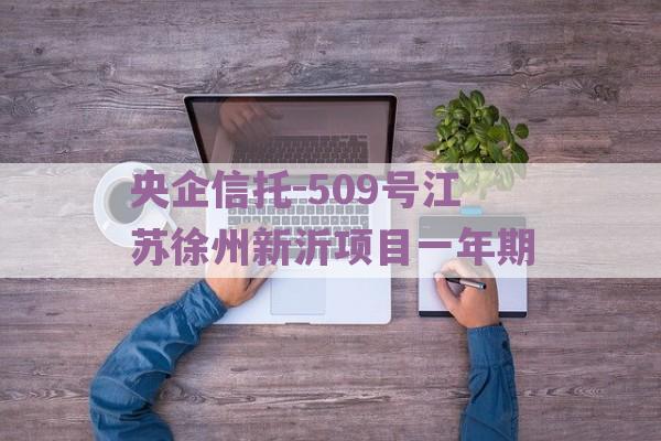 央企信托-509号江苏徐州新沂项目一年期