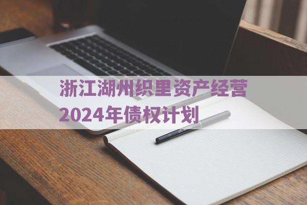 浙江湖州织里资产经营2024年债权计划