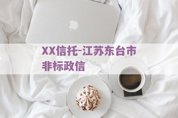 XX信托-江苏东台市非标政信