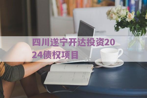 四川遂宁开达投资2024债权项目