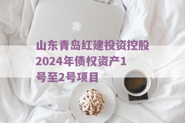 山东青岛红建投资控股2024年债权资产1号至2号项目