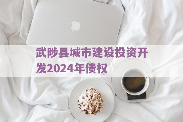 武陟县城市建设投资开发2024年债权