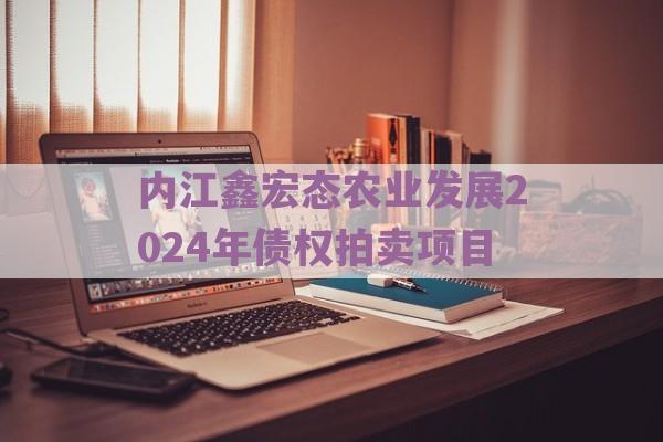 内江鑫宏态农业发展2024年债权拍卖项目