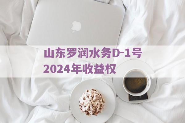 山东罗润水务D-1号2024年收益权