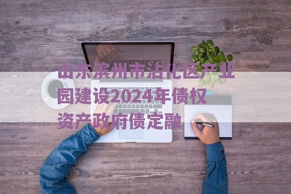 山东滨州市沾化区产业园建设2024年债权资产政府债定融