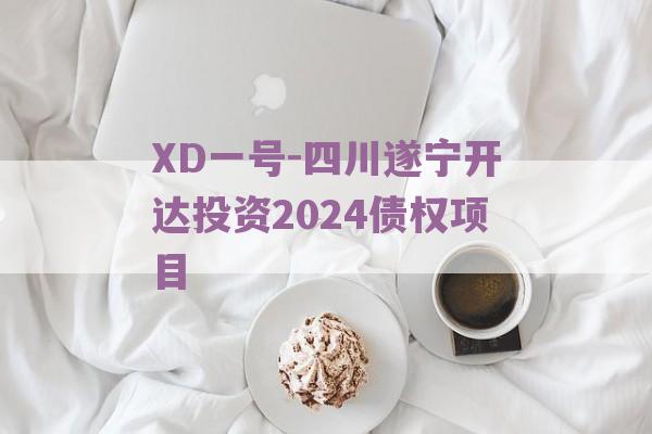 XD一号-四川遂宁开达投资2024债权项目