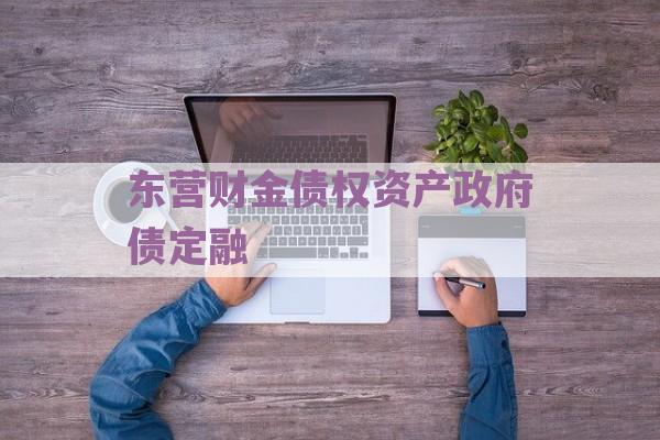 东营财金债权资产政府债定融