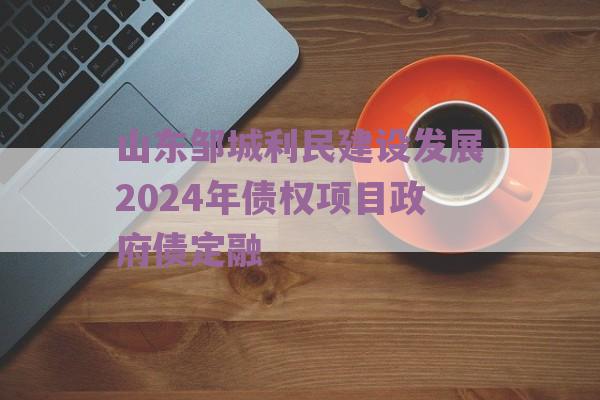 山东邹城利民建设发展2024年债权项目政府债定融