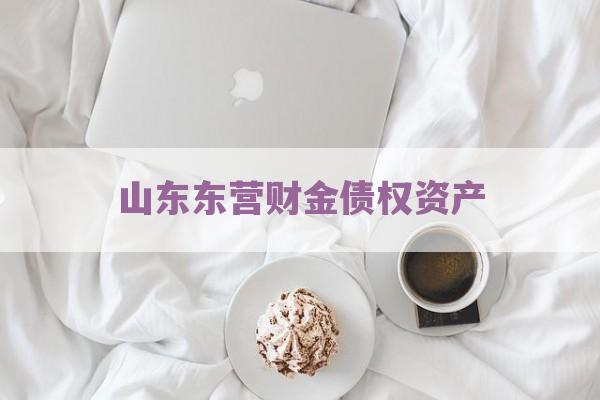 山东东营财金债权资产