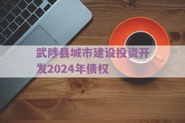 武陟县城市建设投资开发2024年债权