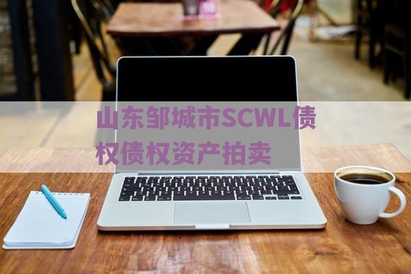 山东邹城市SCWL债权债权资产拍卖