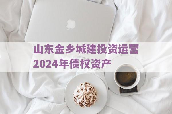 山东金乡城建投资运营2024年债权资产