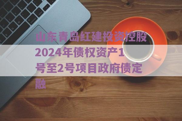 山东青岛红建投资控股2024年债权资产1号至2号项目政府债定融