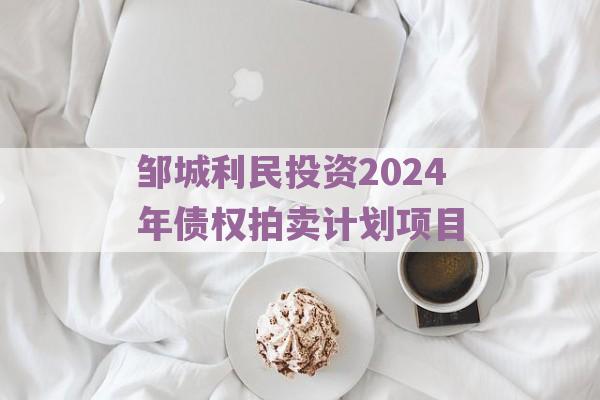 邹城利民投资2024年债权拍卖计划项目