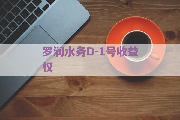 罗润水务D-1号收益权