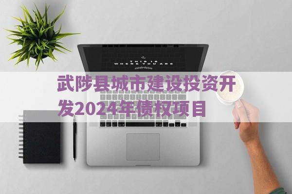 武陟县城市建设投资开发2024年债权项目