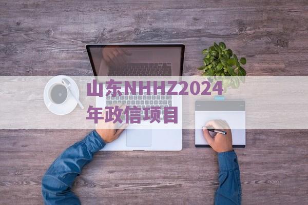 山东NHHZ2024年政信项目