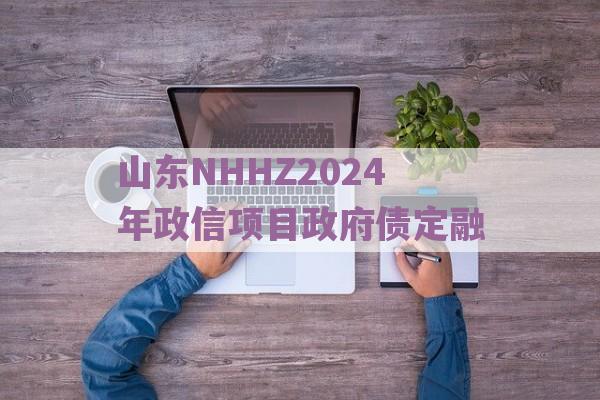 山东NHHZ2024年政信项目政府债定融