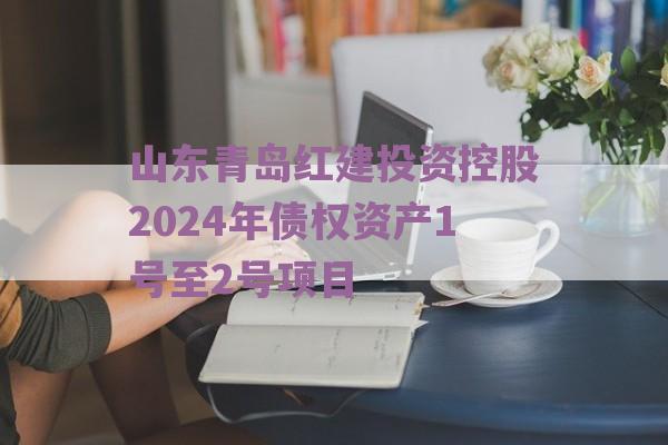 山东青岛红建投资控股2024年债权资产1号至2号项目