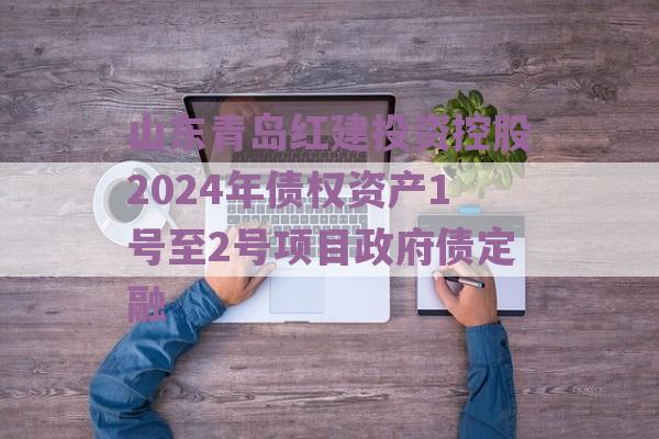 山东青岛红建投资控股2024年债权资产1号至2号项目政府债定融