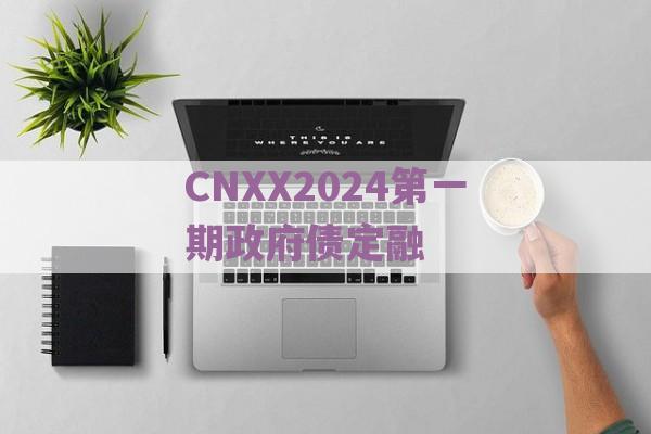 CNXX2024第一期政府债定融