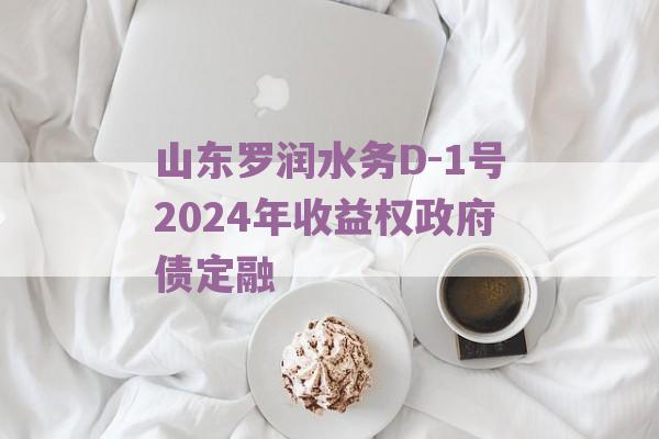 山东罗润水务D-1号2024年收益权政府债定融