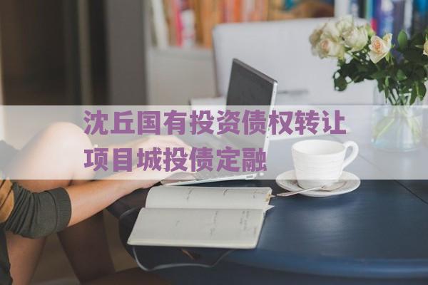 沈丘国有投资债权转让项目城投债定融