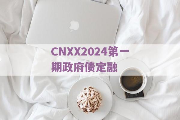 CNXX2024第一期政府债定融