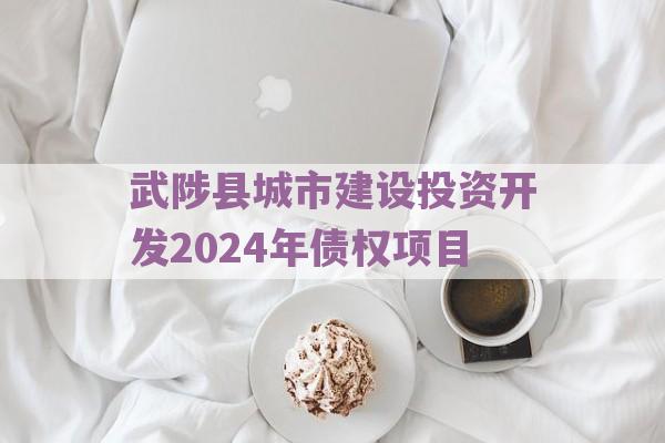 武陟县城市建设投资开发2024年债权项目