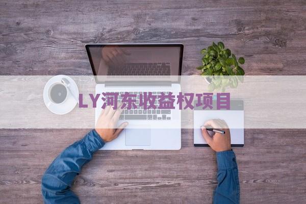 LY河东收益权项目