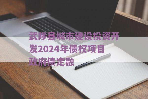 武陟县城市建设投资开发2024年债权项目政府债定融