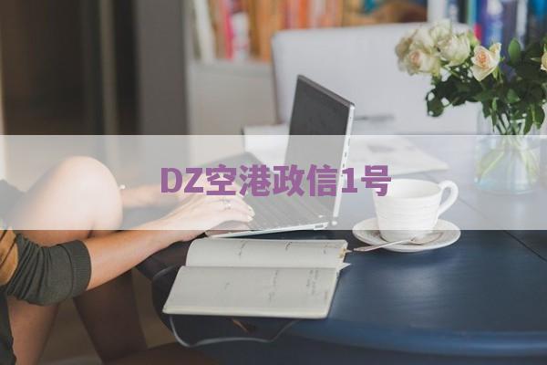 DZ空港政信1号