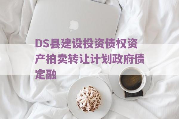 DS县建设投资债权资产拍卖转让计划政府债定融