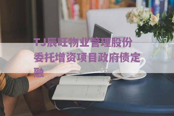 TJ辰旺物业管理股份委托增资项目政府债定融