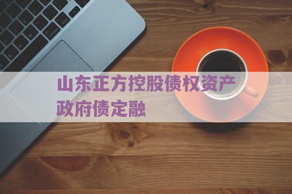 山东正方控股债权资产政府债定融