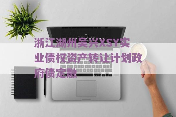 浙江湖州吴兴XSY实业债权资产转让计划政府债定融