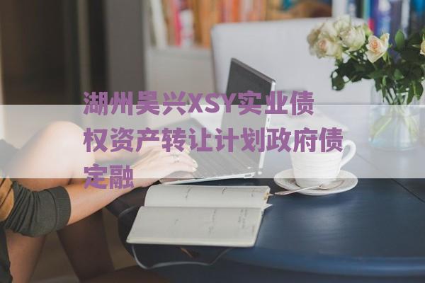 湖州吴兴XSY实业债权资产转让计划政府债定融