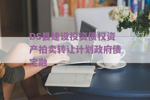 DS县建设投资债权资产拍卖转让计划政府债定融