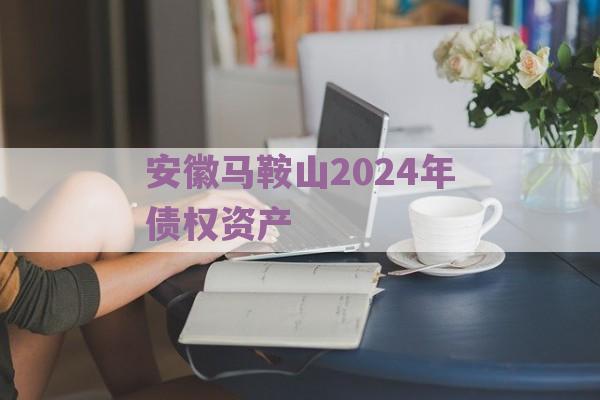 安徽马鞍山2024年债权资产