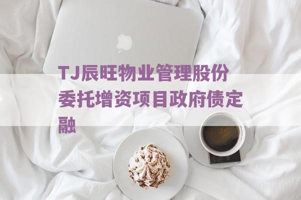 TJ辰旺物业管理股份委托增资项目政府债定融