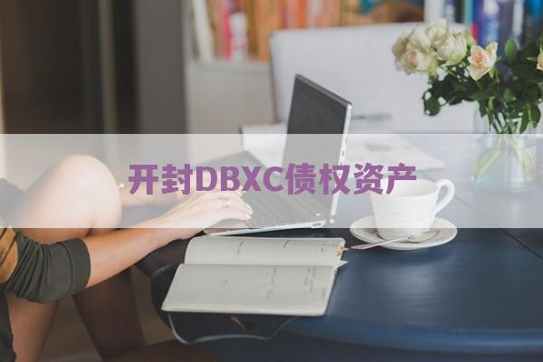 开封DBXC债权资产