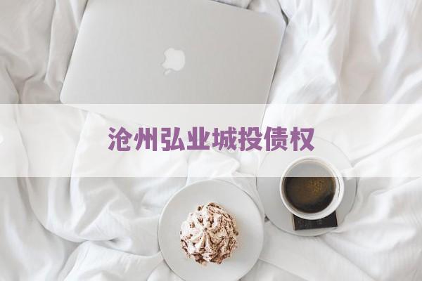 沧州弘业城投债权