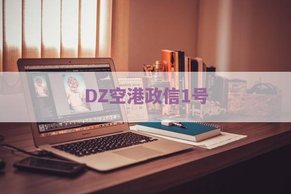 DZ空港政信1号