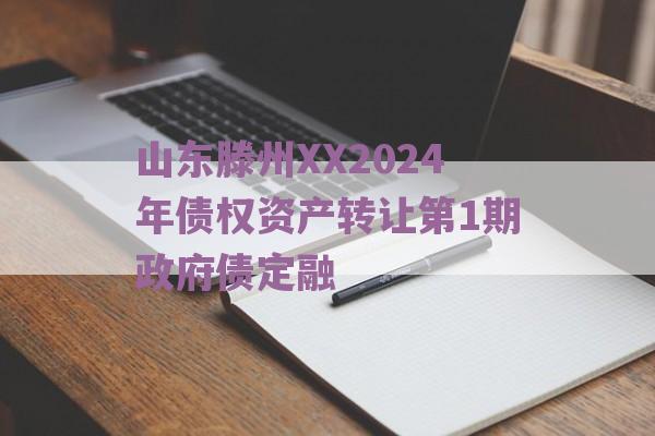 山东滕州XX2024年债权资产转让第1期政府债定融