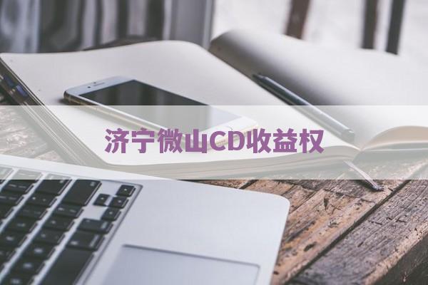 济宁微山CD收益权