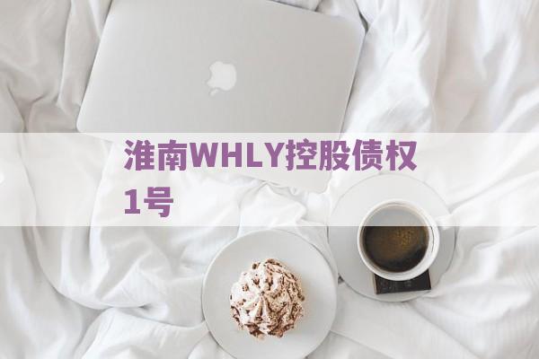 淮南WHLY控股债权1号