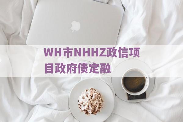 WH市NHHZ政信项目政府债定融