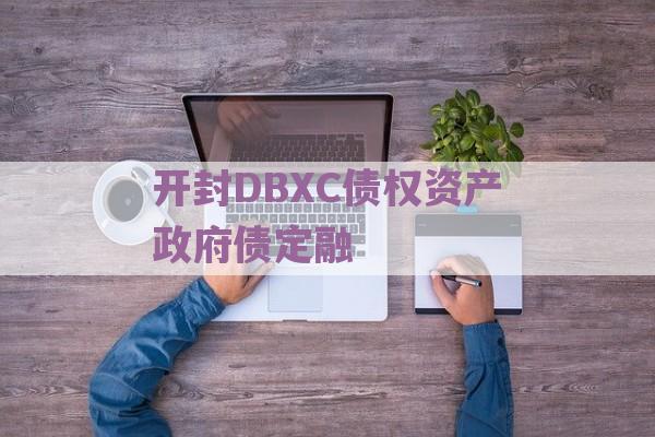 开封DBXC债权资产政府债定融