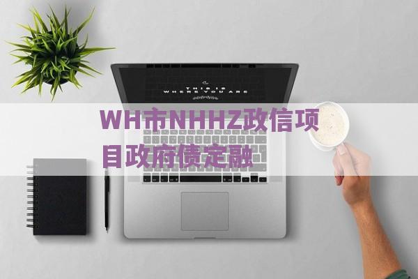 WH市NHHZ政信项目政府债定融