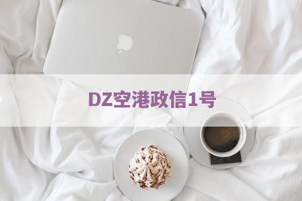 DZ空港政信1号